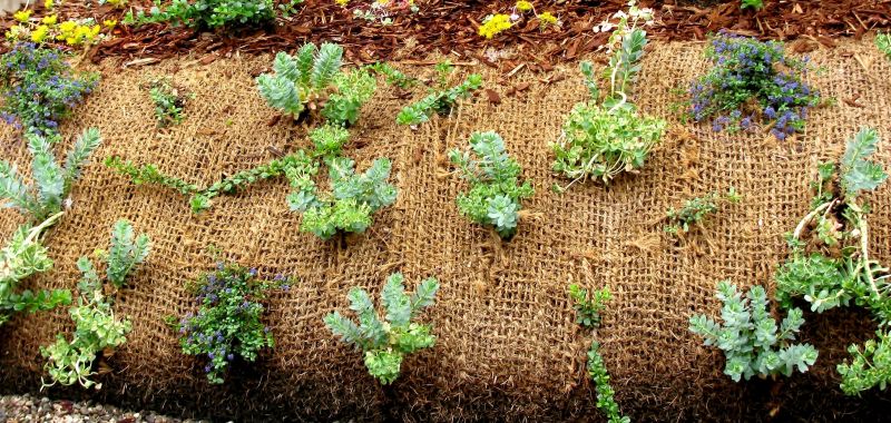 Erosion Control Solutions