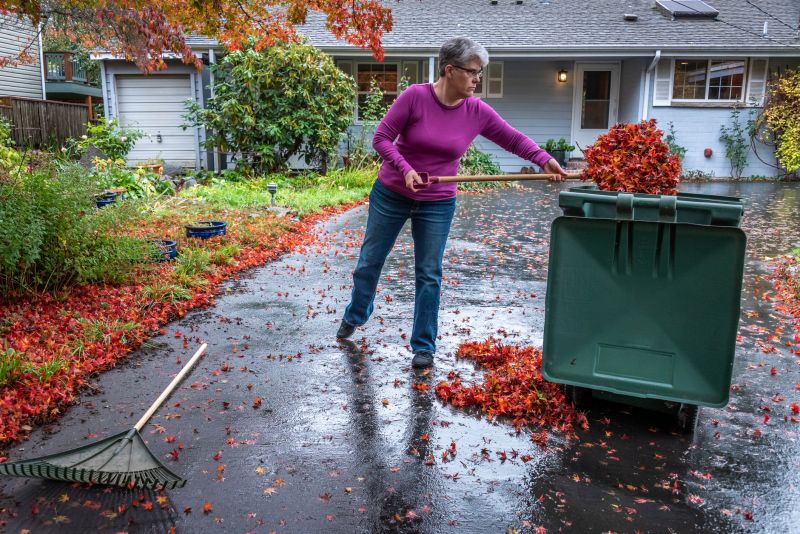 Mulched Leaves on Lawn